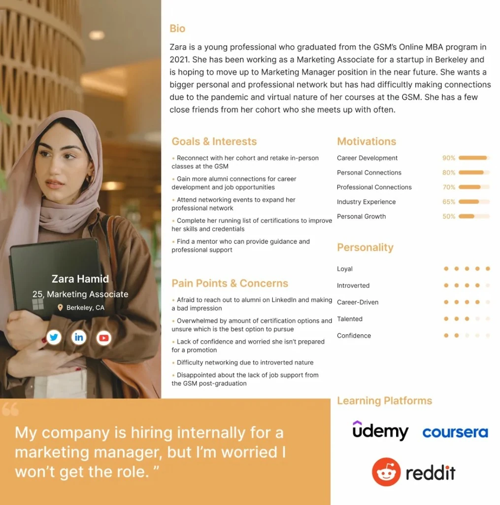 Zara Hamid persona sheet — bio, goals, pain points, motivations and personality